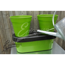 Duo Grow Planter