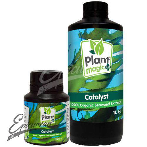 250ml Catalyst 250ml Catalyst